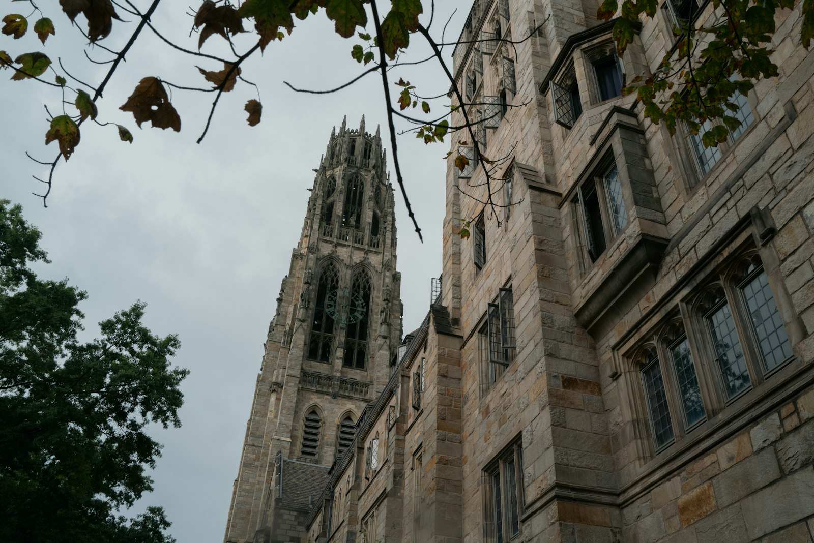 Gothic stone university tower on an Ivy League campus.